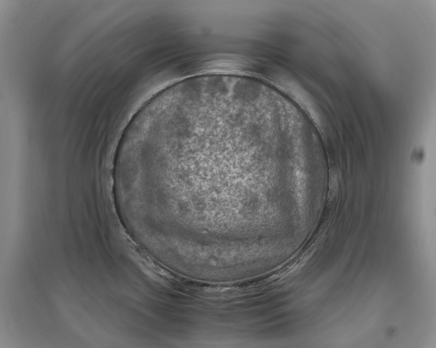 X0000097601435200803141907