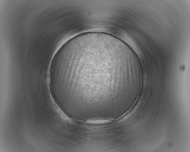 X0000097601436200803141907