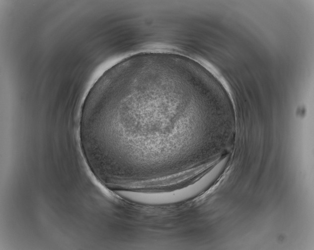 X0000097601437200803141907