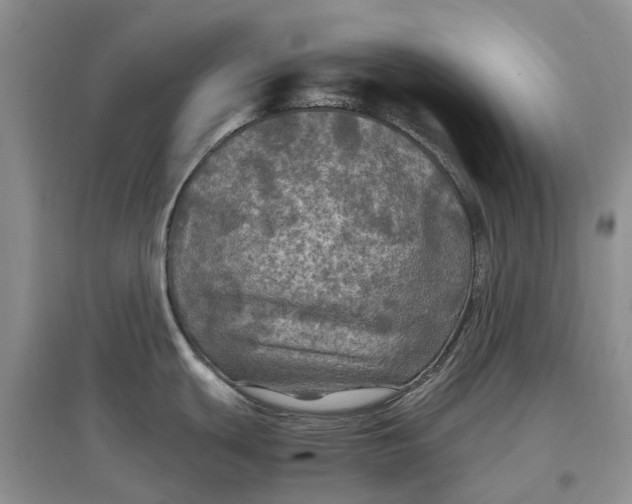 X0000097601439200803141907