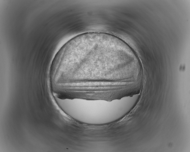X0000097601440200803141907