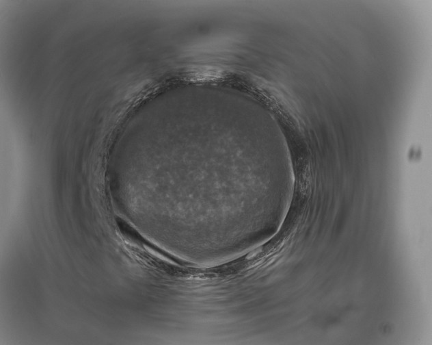 X0000097601441200803141906