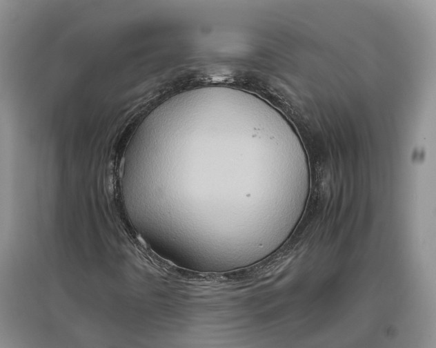 X0000097601442200803141906