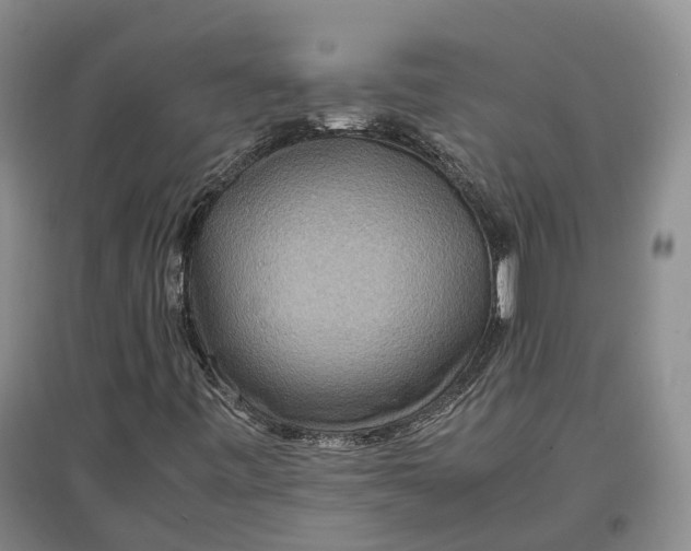 X0000097601443200803141906