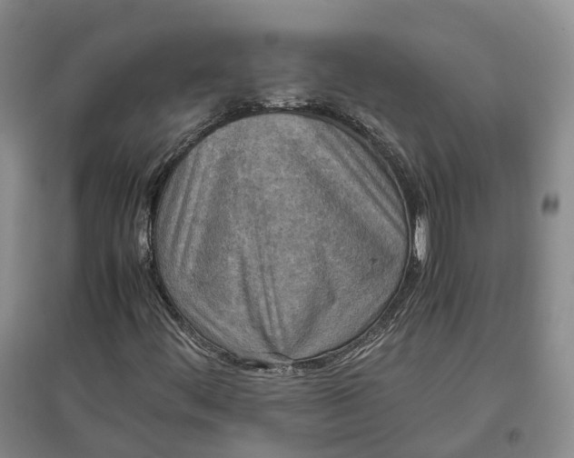 X0000097601444200803141906