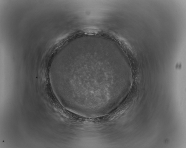 X0000097601445200803141906