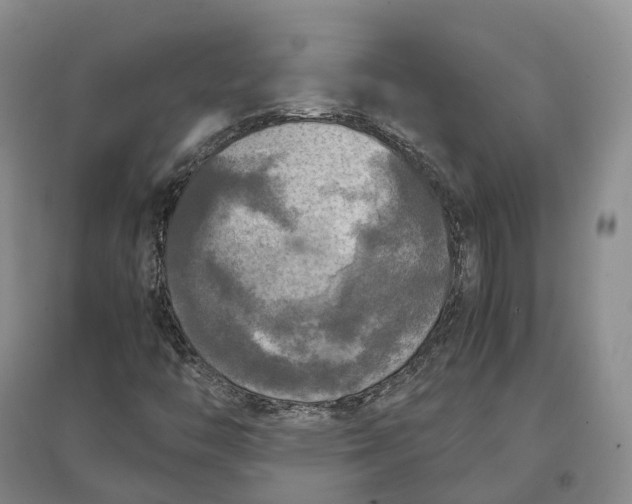 X0000097601446200803141906
