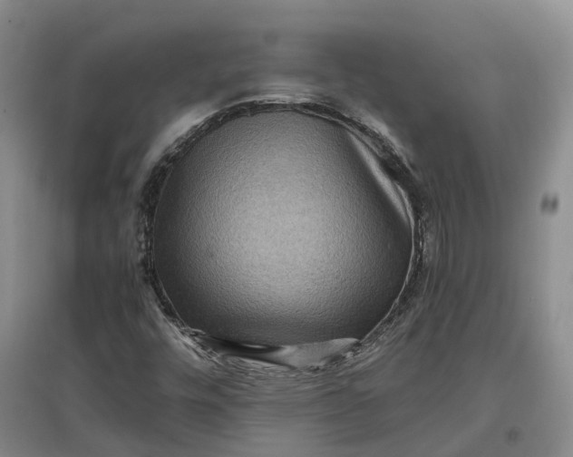 X0000097601448200803141906