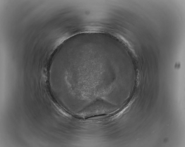 X0000097601449200803141906