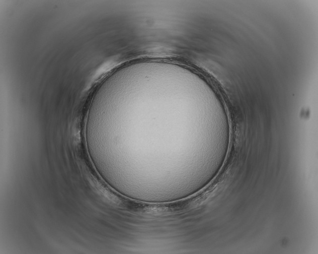 X0000097601451200803141906