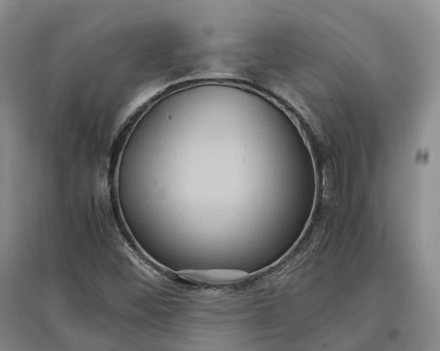 X0000097601452200803141906