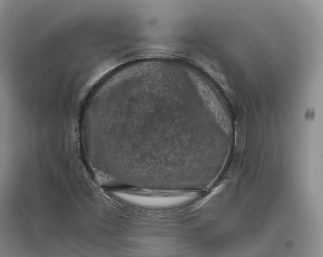 X0000097601453200803141906
