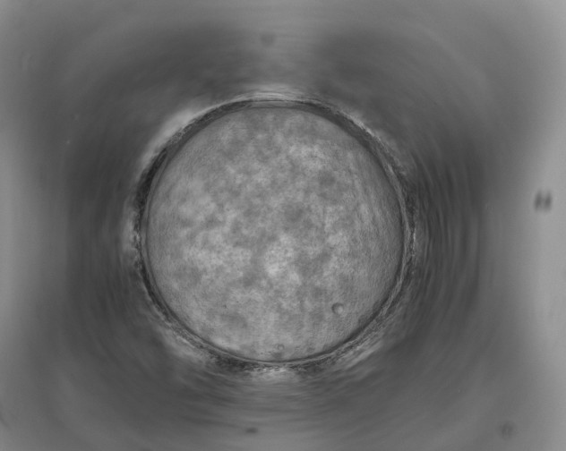 X0000097601454200803141906