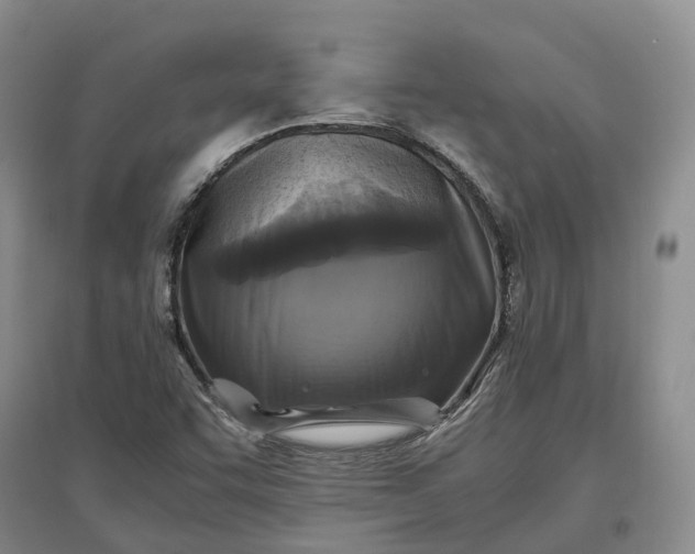 X0000097601455200803141906
