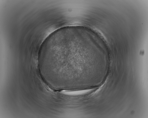 X0000097601457200803141906