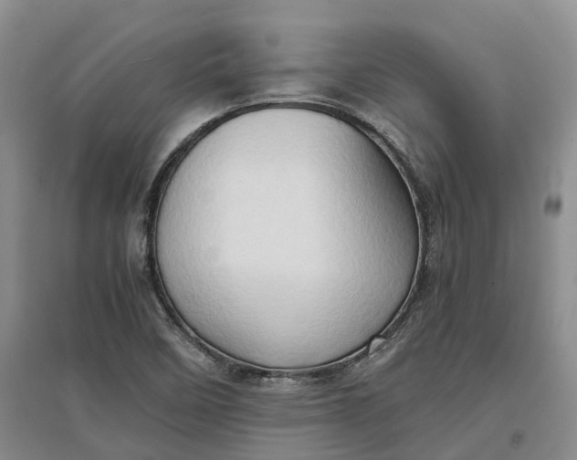 X0000097601458200803141906