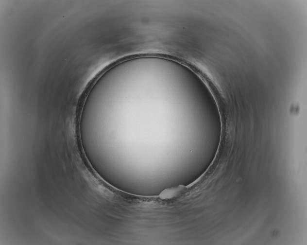 X0000097601460200803141906