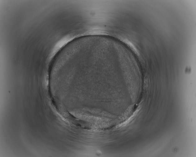 X0000097601461200803141906