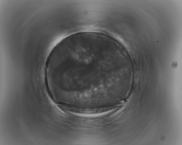 X0000097601463200803141906