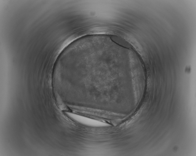 X0000097601465200803141906