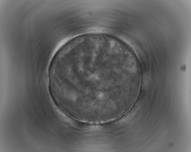 X0000097601467200803141906