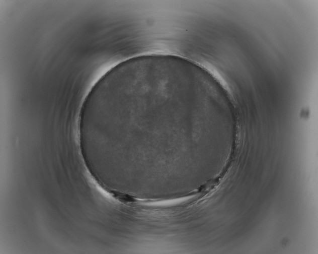 X0000097601468200803141906