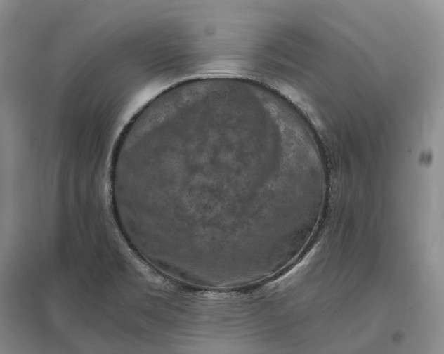X0000097601469200803141906
