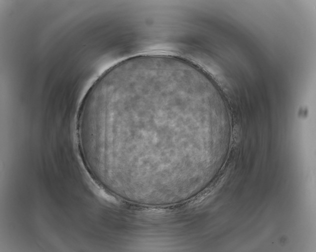 X0000097601470200803141906