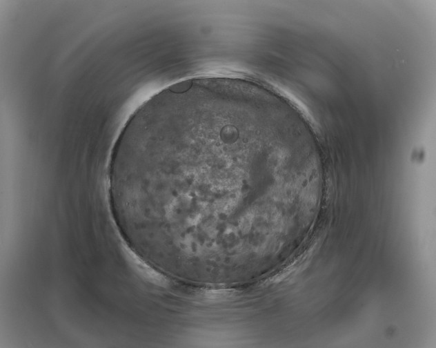 X0000097601471200803141906