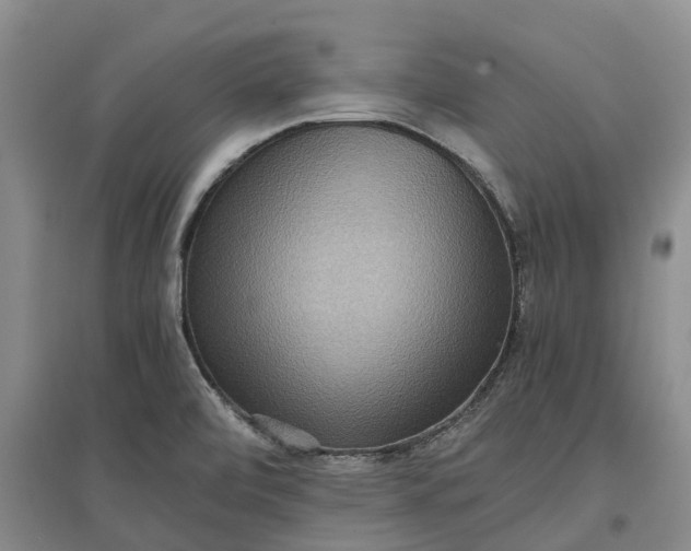 X0000097601472200803141906