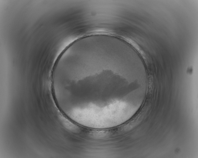 X0000097601474200803141906