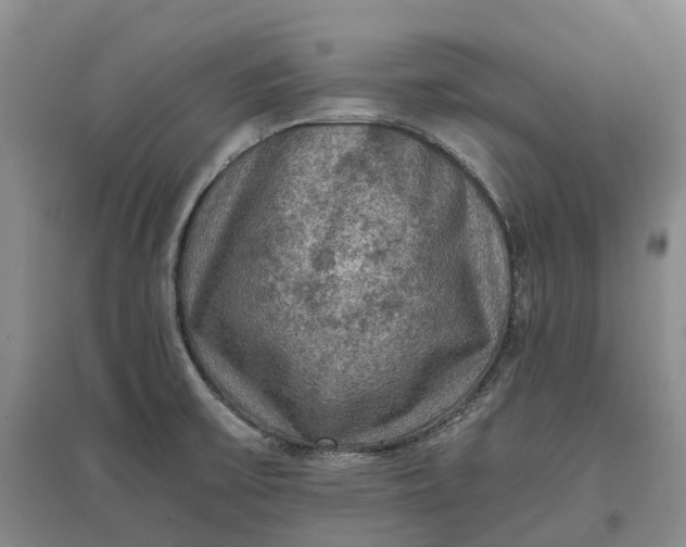 X0000097601475200803141906