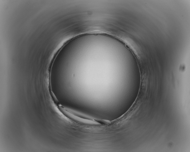 X0000097601476200803141906