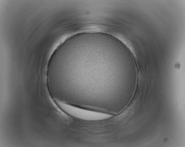 X0000097601477200803141906