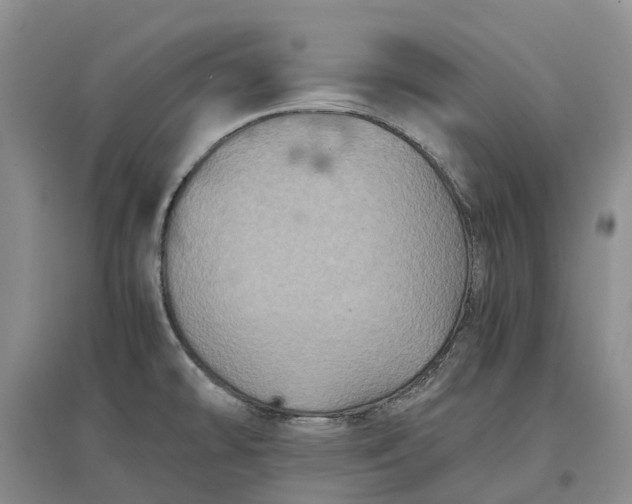 X0000097601478200803141906