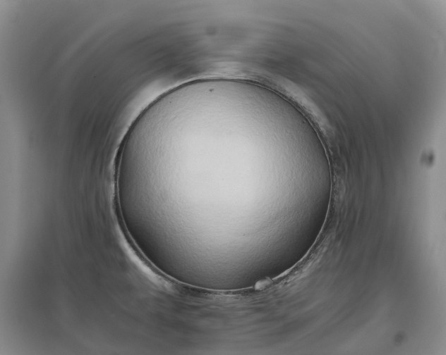 X0000097601479200803141906