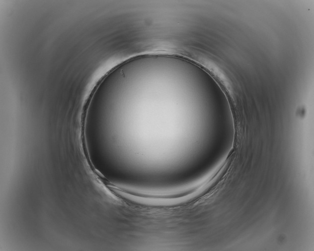 X0000097601480200803141905