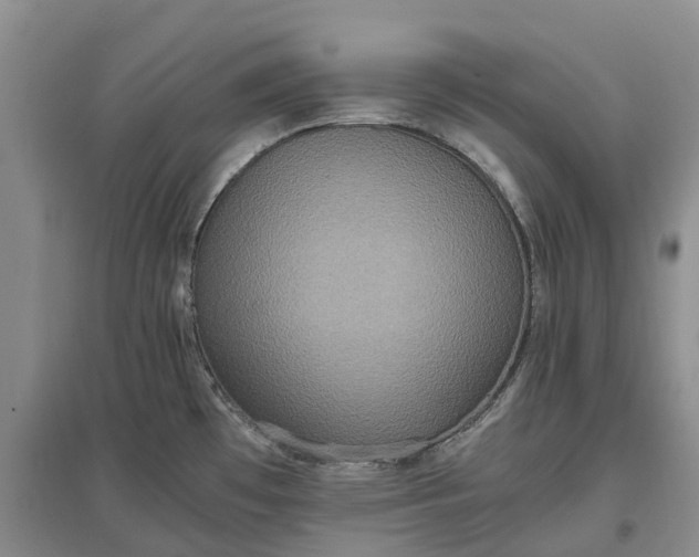 X0000097601481200803141905