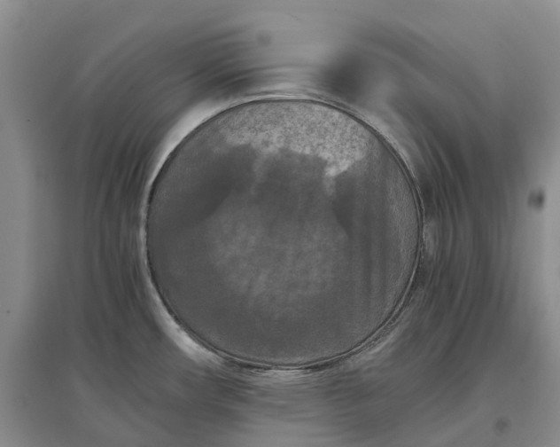 X0000097601482200803141905