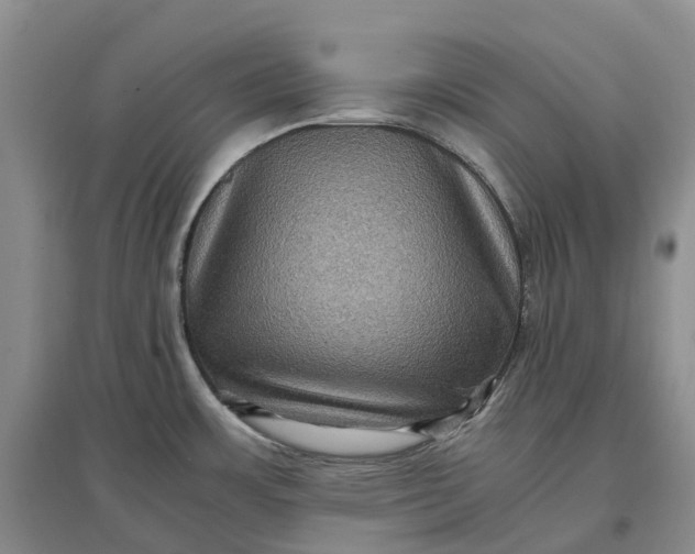 X0000097601483200803141905