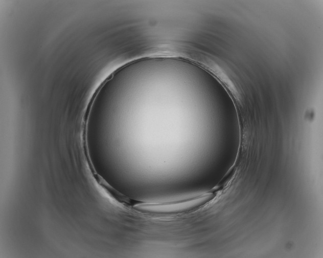 X0000097601484200803141905
