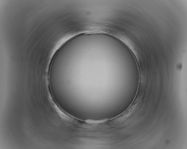 X0000097601485200803141905