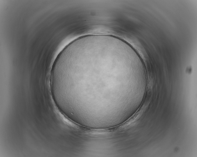X0000097601486200803141905