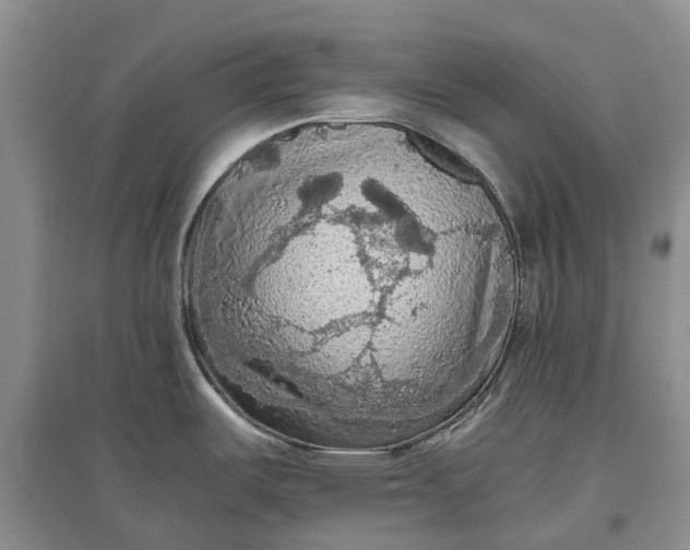 X0000097601487200803141905