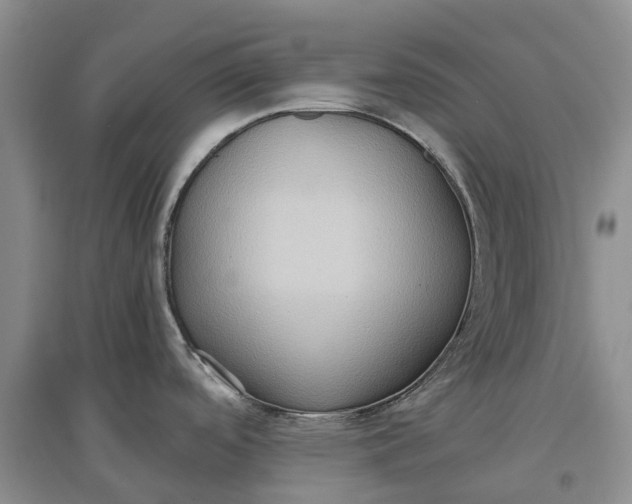 X0000097601488200803141905