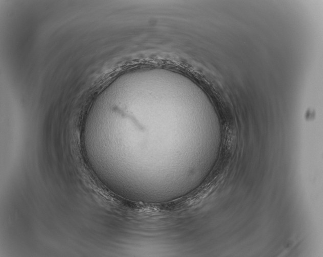 X0000097601489200803141905