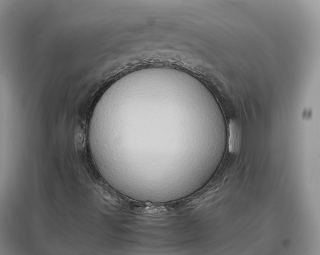 X0000097601491200803141905