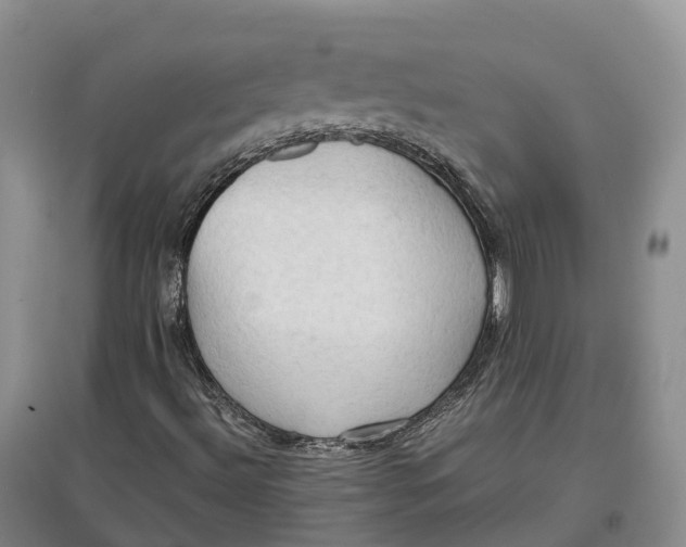 X0000097601492200803141905