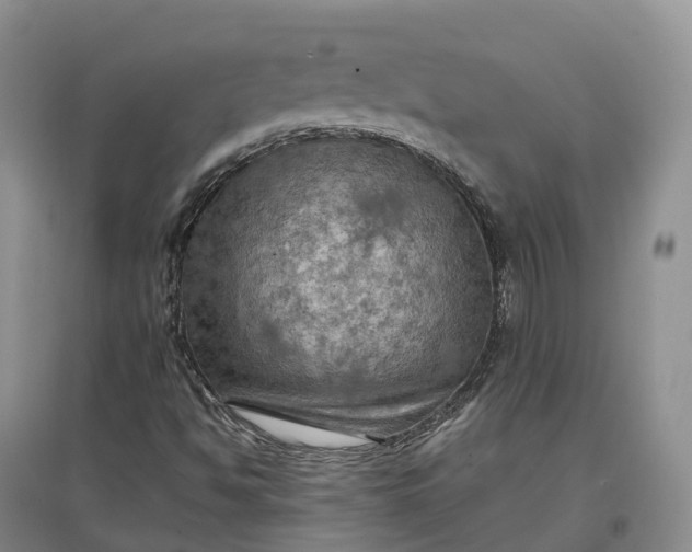 X0000097601494200803141905