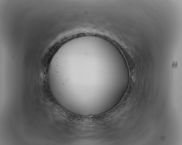 X0000097601495200803141905